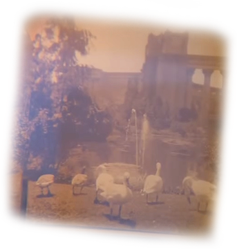 digital archiving: gallery of anonymous memories