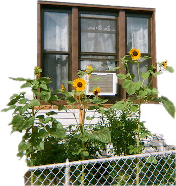 i remember: a five-week generative writing workshop